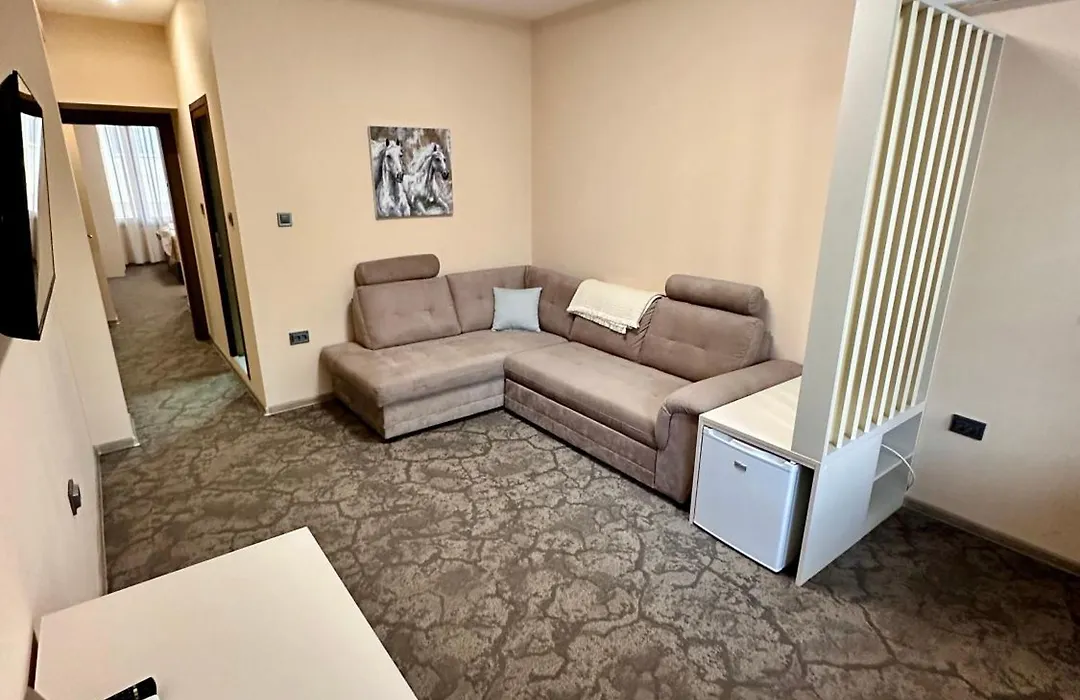 Hotel Ponti-1
